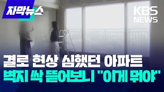 [자막뉴스] 결로 현상 심했던 아파트…벽지 싹 뜯어보니 "이게 뭐야" / KBS 2024.04.28.