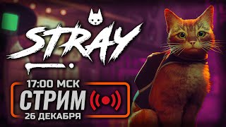 ⚪ КИБЕР-КОТИК — STRAY / СТРИМ 26.12.2022 [ЗАПИСЬ]