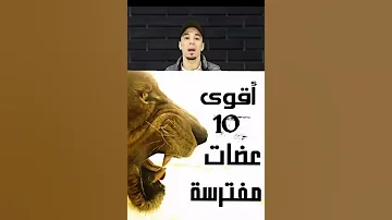 اقوي عضه من الحيوانات المفترسة والاخير صدمه كبيره 