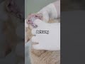 Sabbert deine Katze? Das kann süß – oder ernst sein! 🤔