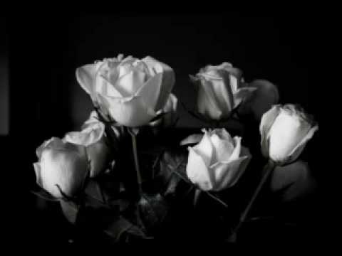 Video: Je Li Moguće Dati Bijele Ruže
