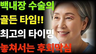 이벤트 배너