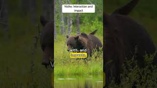 What is the difference between a habitat and a niche? #Ecology #Habitat #Niche #Ecosystem