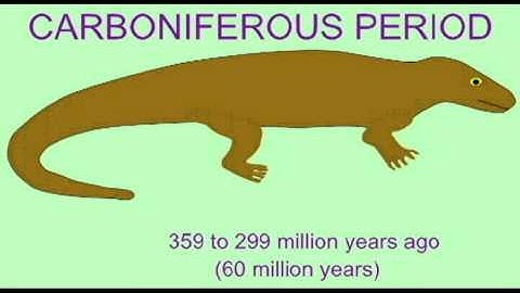 PL EXAM 1: FOSSIL REPTILES FROM THE CARBONIFEROUS.avi