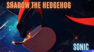 Shadow The Hedgehog - Run devil run
