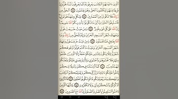 ماهر المعيقلي سورة البقرة مكتوبة صفحة 23 مصحف المدينة المنورة جودة عالية