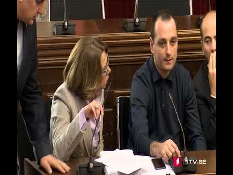 ეკა ბესელიამ სალომე სამადაშვილს კომიტეტის სხდომა დაატოვებინა