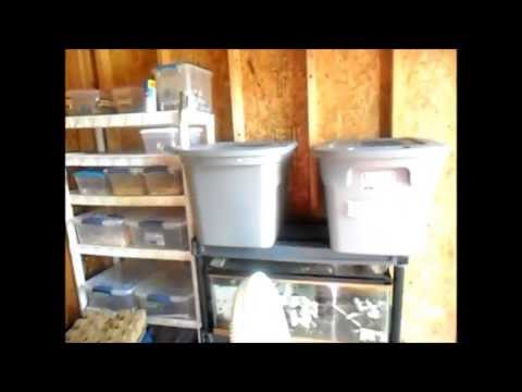 roach killer A New Home For My Animals