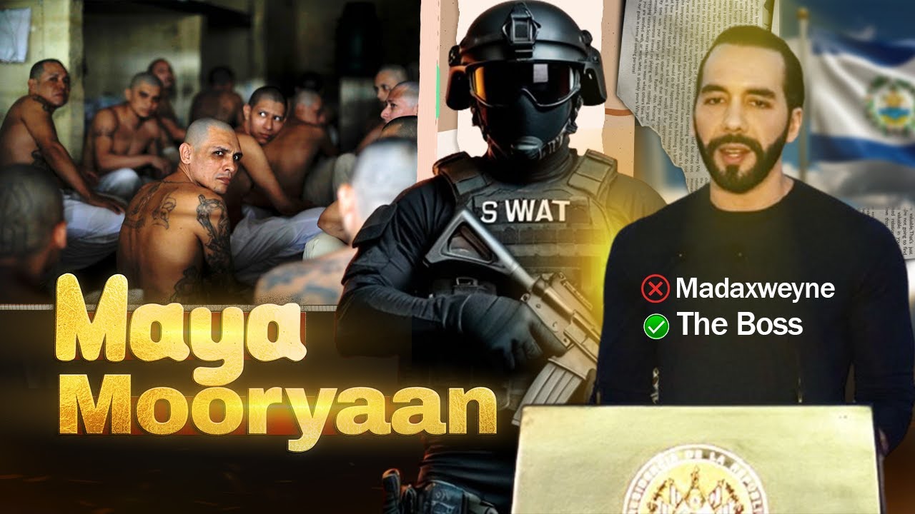 Tijaabada Ninkaan Caadi Ma Ahan | Madaxweyne aanan Caadi ahayn |