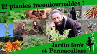 12 plantes incontournables au jardin-forêt en Permaculture ! + Guest