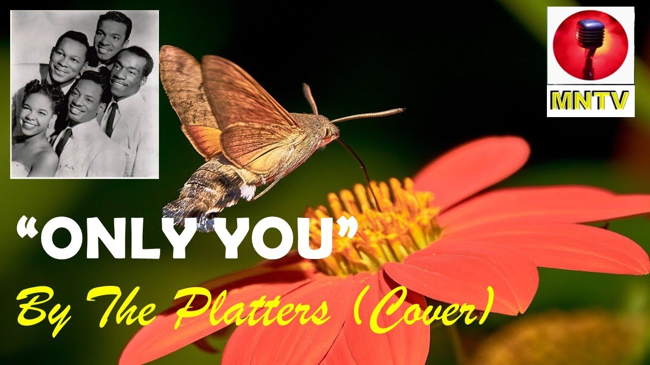 ONLY YOU BY THE PLATTERS (COVER) WITH LYRICS theplatters videoke musikanostalgiatv mntv