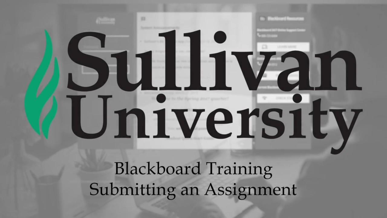 submitting an assignment in blackboard