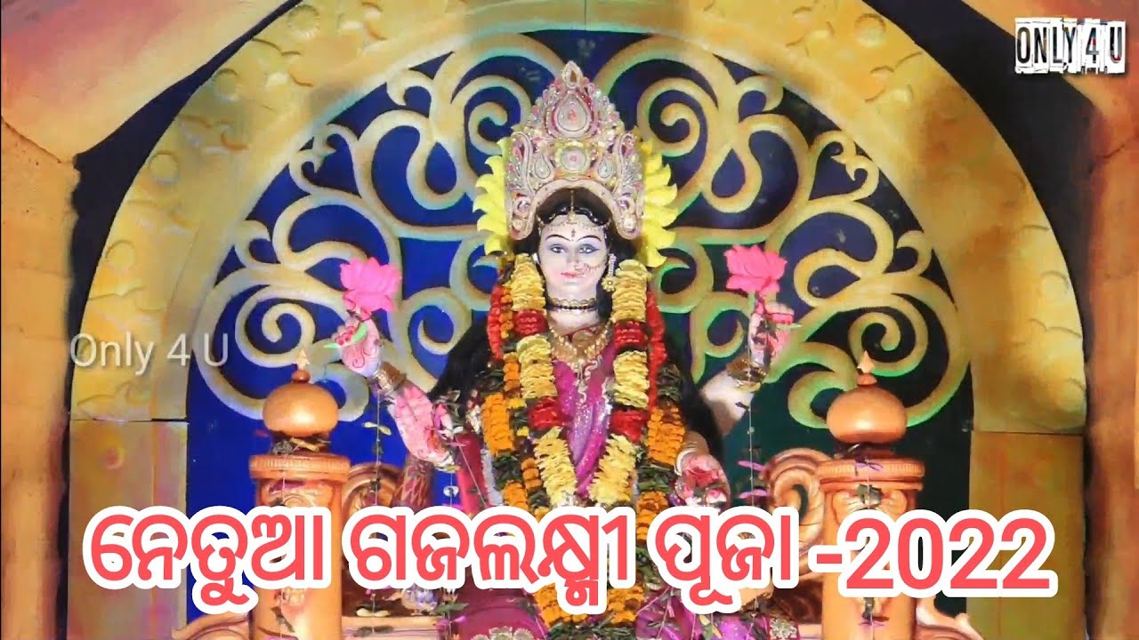 Netua ନେତୁଆ ଗଜଲକ୍ଷ୍ମୀ ପୂଜା -2022 // କେନ୍ଦ୍ରାପଡ଼ା // Netua Gajalaxmi puja ...