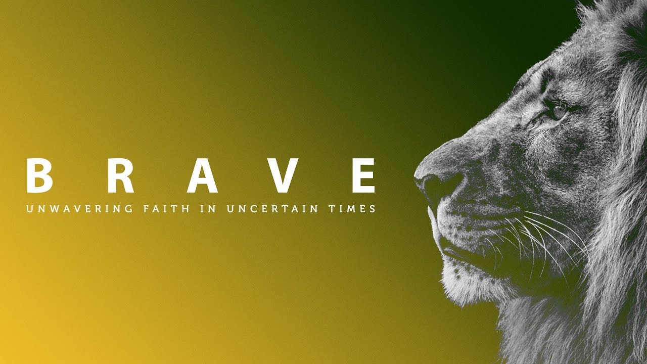brave beta brave beta