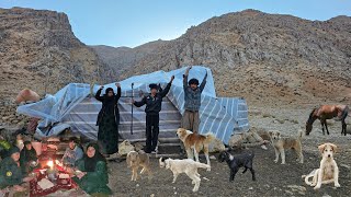 The Real Nomad Life: Building a Goat Shelter \u0026 Cooking Ancient Traditional Food