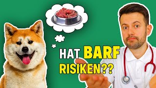 Ist BARF das beste für deinen Hund? (Tierarzt klärt auf)