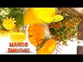 أفضل طريقه لعمل سموثي المانجو Mango Smoothie أفضل طريقه لعمل سموثي المانجو Mango Smoothie