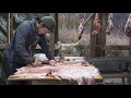 【里山狩猟生活#12】猪、鹿、生け獲り 鹿の革で絨毯作り