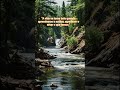 beatiful life #relaxingmusic #nature #america #calm ##beautiful #journey #lifeisbutadream # #shorts