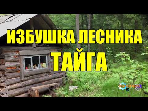 ИЗБУШКА ЛЕСНИКА | ТРОГАТЕЛЬНАЯ ИСТОРИЯ