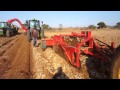 Grimme GT 170 Potato harvester and John Deere 6125M