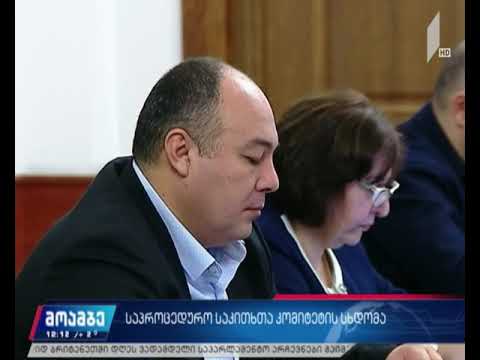 ნიკა მელიასთვის უფლებამოსილების შეწყვეტას კომიტეტმა მხარი დაუჭირა