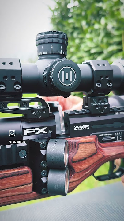 The FX KING !  #shorts #short #fxairguns #airguns #fxking #grs