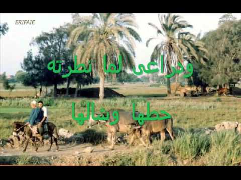 يا مصر سيد مكاوى 