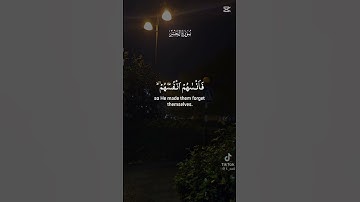 تلاوه خاشعه للشيخ ناصر السالمي #قران_كريم #اكسبلور #المصحف