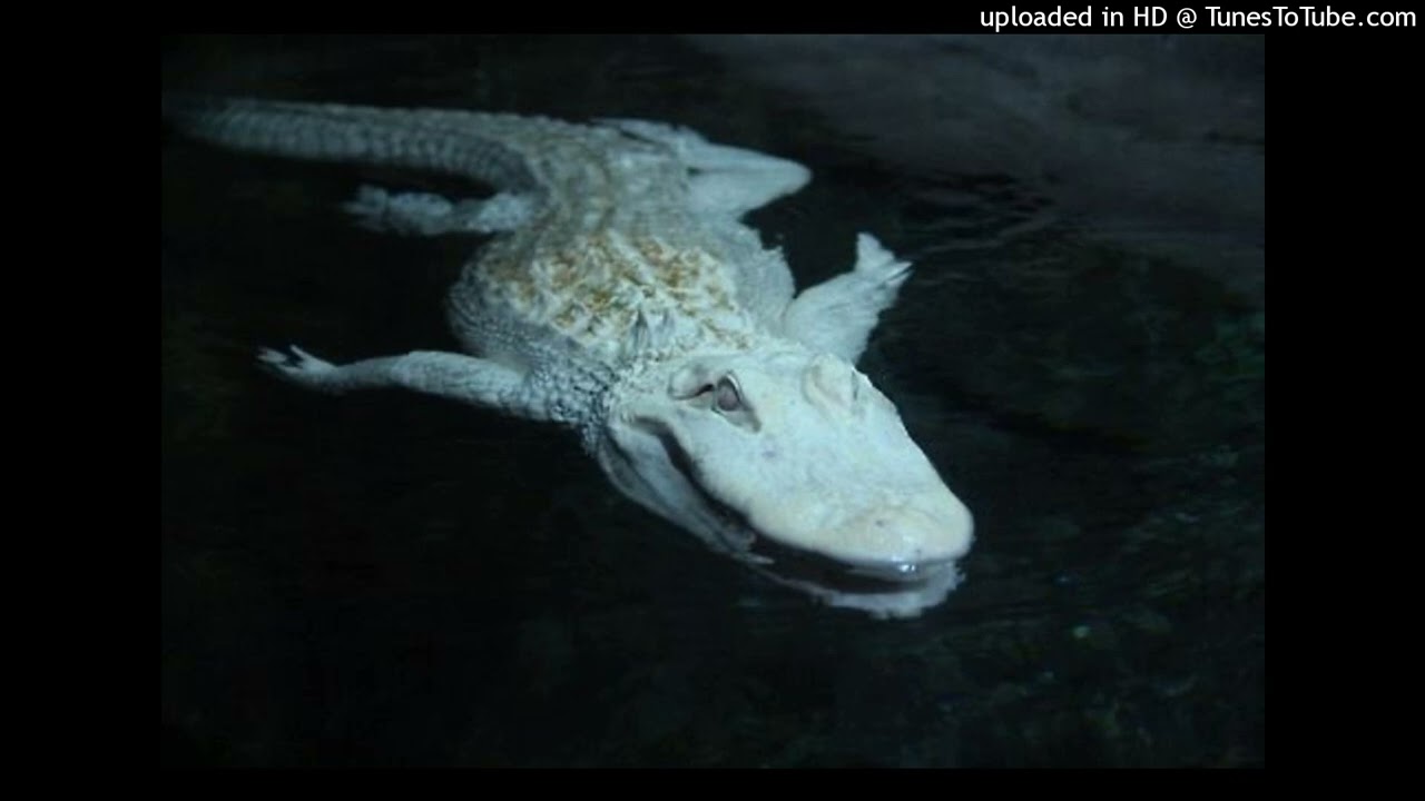 [free] yeat + bnyx + a dangerous lyfe type beat "dynamite"