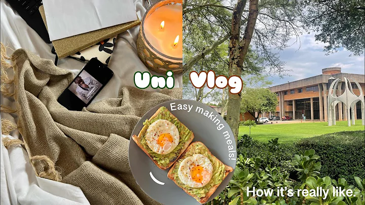 Uni week vlog: Chasing due dates, easy making meals ideas, romanticising being a student. - DayDayNews