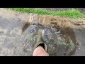 Middle of video
