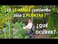 Un vergel con 600 variedades de plantas