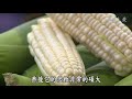 【農夫與他的田】20180525 - 山腳下的第二個起點