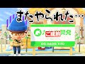 【あつ森】あのタヌキがまた勝手に住人呼びやがった…【あつまれどうぶつの森】