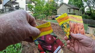 WALMART 50 CENT SEED RACK TEST - WILL THEY GROW? #garden by The Back Garden Yard  580 views 3 weeks ago 6 minutes, 21 seconds