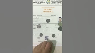 Multilevel Natija #shorts #multilevel #cefr