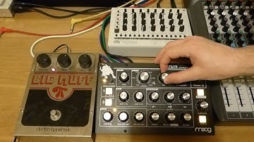 MFB Tanzmaus, Moog Minitaur & EHX Big Muff