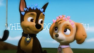 🩷Skye X Chase💙//When I look at you