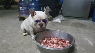 หมูเเพนด้า เเม่บัวขาว เฟรนบลูดอก หมูเเพนด้า เเม่บัวขาว เฟรนบลูดอก