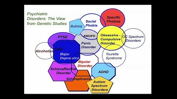 MPG Primer: Phenotype Definition (with tales from psychiatry) (2012)