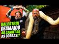 BALESTRIN QUASE DESMAIOU AO CARREGAR AS COBRAS GIGANTES!!