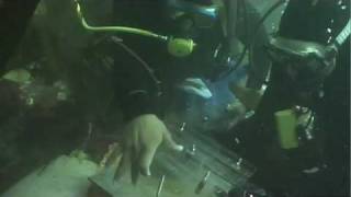 Natividad Expedition Research Short by Andrew Wiens