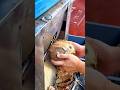 Removing the Hard Coconut Shell with a Powerful Cutting Machine Process #shorts
