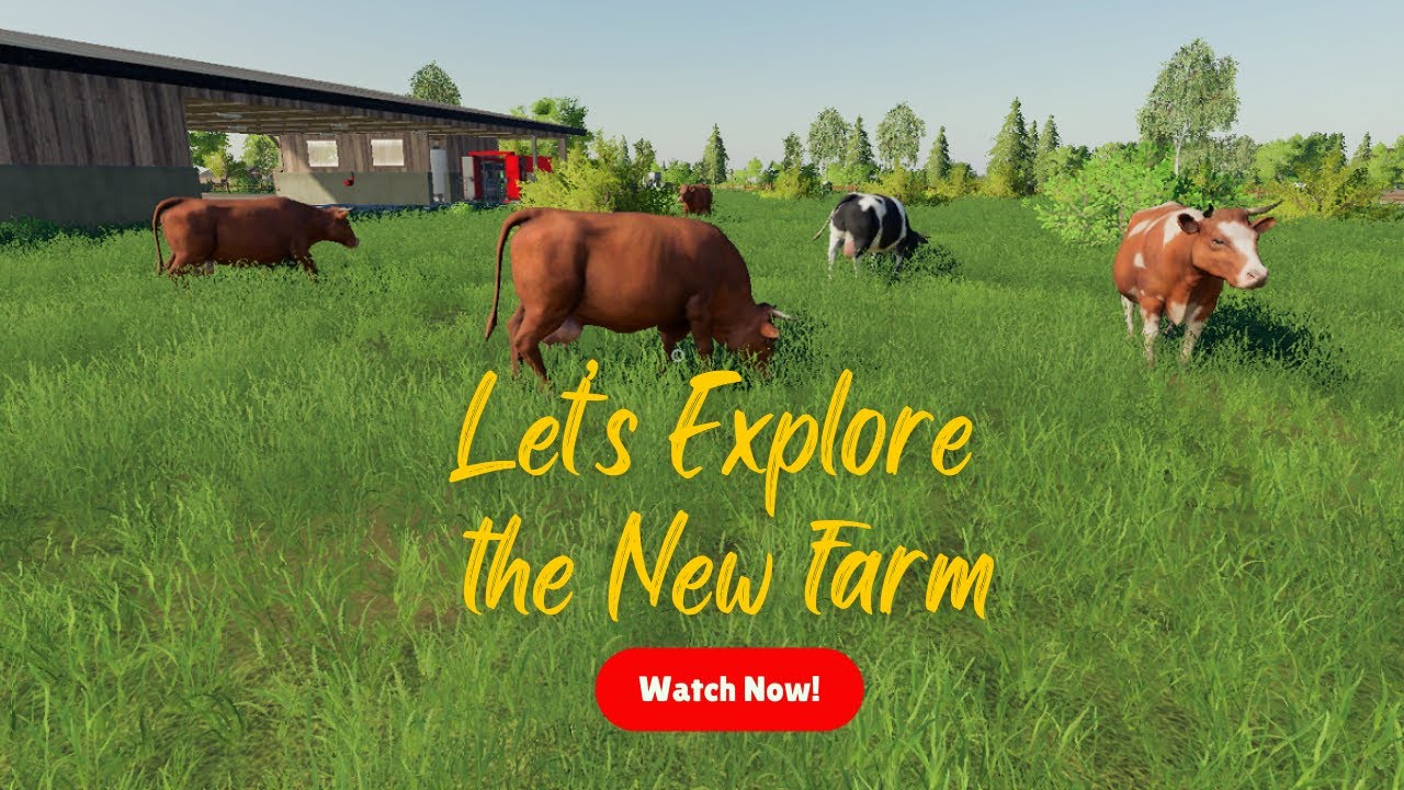 LET's EXPLORE THE NEW FARM - COW BARN, PIGSTY, SHEEP PASTURE, CHICKEN COOP