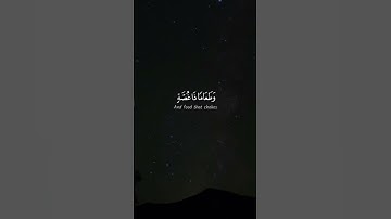 {وَاصْبِرْ عَلَىٰ مَا يَقُولُونَ وَاهْجُرْهُمْ هَجْرًا جَمِيلًا}سورة المزمل آية ١٠