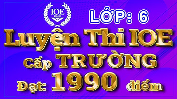 IOE lớp 6 cấp Trường đạt 1990 điểm (có đáp án, mới cập nhật 2024)