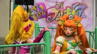 ドキドキ！プリキュアショー　DOKIDOKI! PRECURE LIVE SHOW 2013