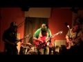 The memphis dives perform begonia live at c dzan house concerts 11212014