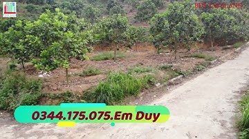 #shorts | 90.000m tân lập lục ngạn bắc giang | nhà dất lục ngạn - bắc giang